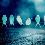 Immagine di una pioggia leggera che cade su una finestra, simbolo del rumore bianco per migliorare il sonno.