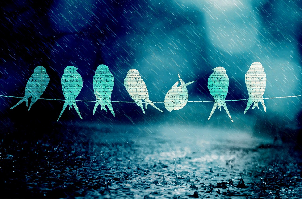 Immagine di una pioggia leggera che cade su una finestra, simbolo del rumore bianco per migliorare il sonno.