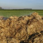 Insalata di radici colorate su un tavolo, simbolo di un fegato rigenerato e depurativo.