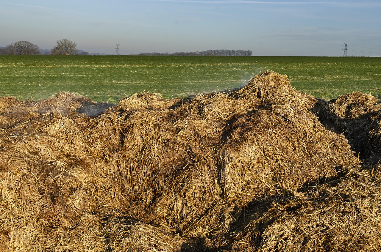 Insalata di radici colorate su un tavolo, simbolo di un fegato rigenerato e depurativo.